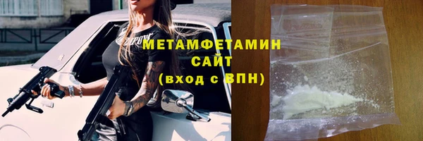 прущие грибы Богданович