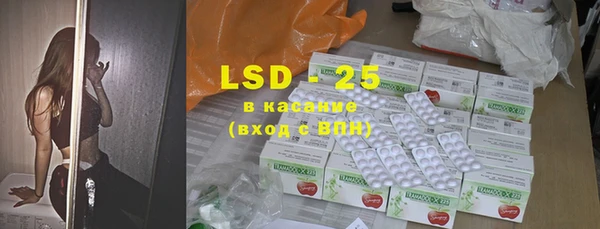 прущие грибы Богданович