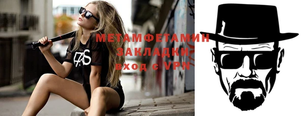 прущие грибы Богданович