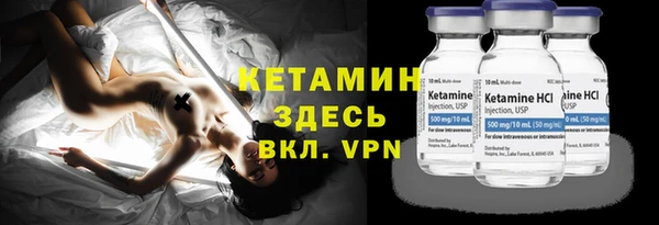 прущие грибы Богданович