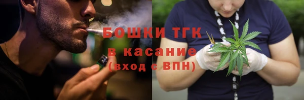 сатива Богородск