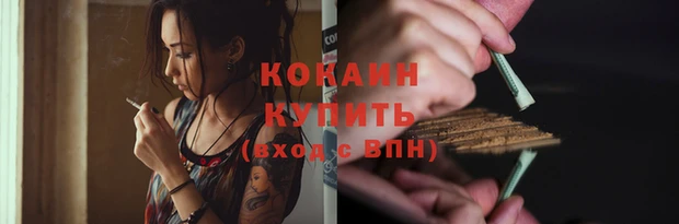 стаф Богородицк