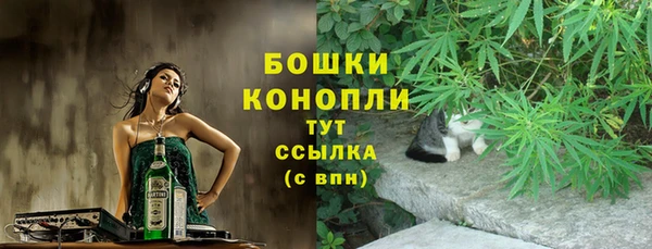 стаф Богородицк