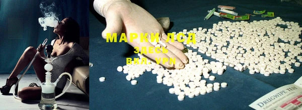 прущие грибы Богданович