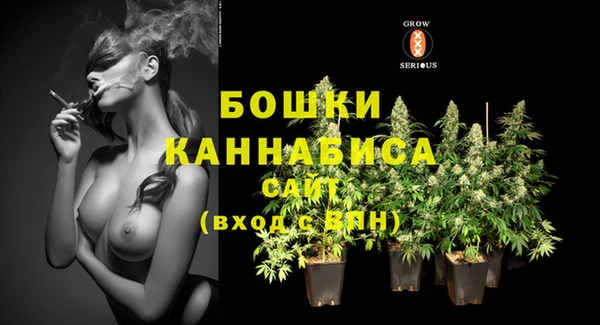 стаф Богородицк