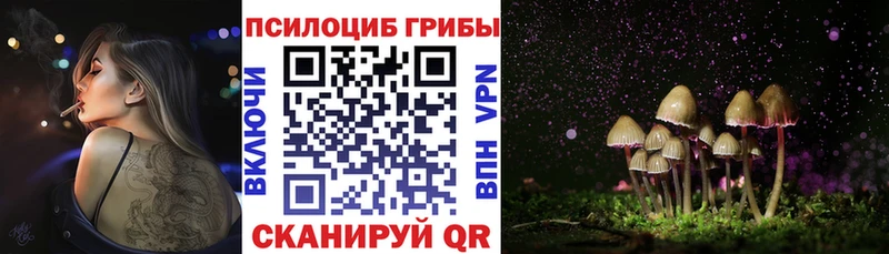 ссылка на мегу ССЫЛКА  Балтийск  Галлюциногенные грибы мицелий 